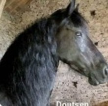 Doutsen J.B.